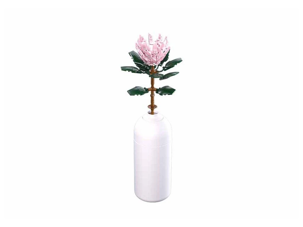 Sluban Pleyerid M38-B1101-03 Protea královská